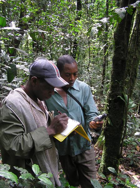 Kagwene monitoring (© Ymke Warren)